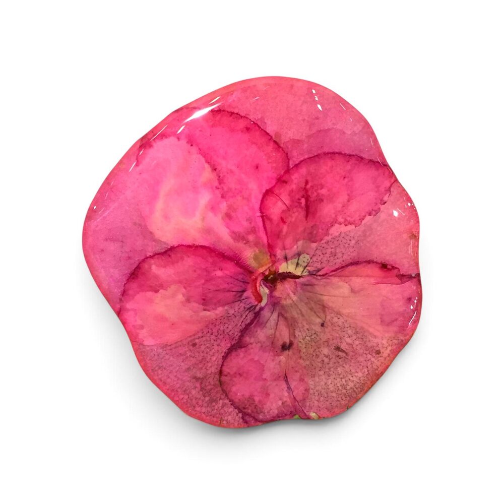 Pink flower detail